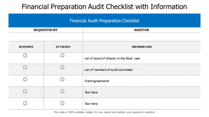 Financial audit checklist for companies