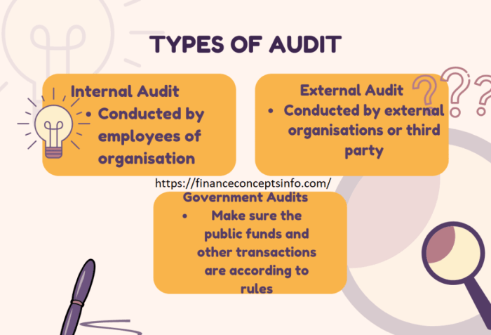 Audit anatomy audits auditor data reports state